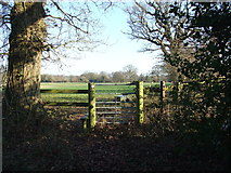 SU0302 : Gate And Stile, Heading Towards Uddens Park by Lorraine and Keith Bowdler