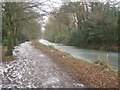 Basingstoke Canal - Fleet