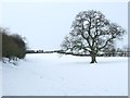 TL7243 : Snow Covered Field by Keith Evans