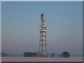 TF4213 : Telecommunication mast at Newton near Wisbech by Richard Humphrey