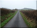 Lane above Upper Borth