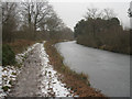 Basingstoke Canal / Forest of Eversley