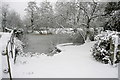 Plaistow pond in the snow