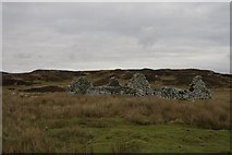 NR2161 : Ruin near Kilchiaran, Islay by Becky Williamson