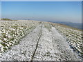 Snowy scene on Garth Hill