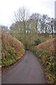 Mid Devon : Country Road