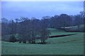 ST0420 : Mid Devon : Grassy Countryside by Lewis Clarke