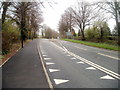 Crocodile teeth road markings, Caerwent