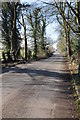 Road to Frampton on Severn