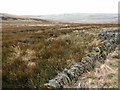 NY8488 : Moorland below Hareshaw Head by Oliver Dixon