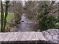 Down stream from bridge over Afon Taf