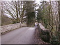 Looking towards Rhydowen over bridge