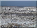 TF4034 : The Wash coast in winter - White salt marsh and blue sky by Richard Humphrey