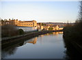 Sunlight on the banks of the Avon