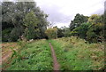 River Gipping and Gipping Valley River Path