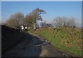 Lane at Higher Bradaford