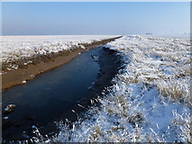 TF4134 : The Wash coast in winter - Blue creek in the frozen salt marsh by Richard Humphrey