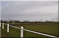 Chepstow : Football Pitch