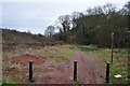 Chepstow : Footpath