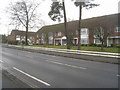 Housing along Fleet Road