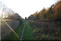 Footpath to Sturry