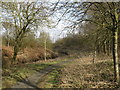 Blackwater Valley Footpath and the Blackwater River