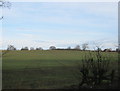 Farmland north of Greystone Lane