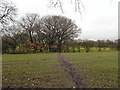 Footpath and Trees