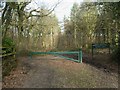 Ferndown Forest, gate