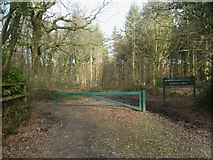 SU0306 : Ferndown Forest, gate by Mike Faherty