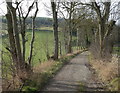 Tree lined track to Coombs Dale