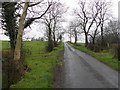 Road at Lisconrea