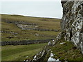SK1775 : Limestone scenery, upper Cressbrook Dale by Andrew Hill