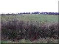 Moneygar Townland