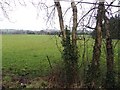 Moneygar Townland