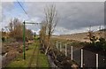 Seaton : Tram Track