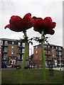 TQ3783 : Large poppies in Lefevre Park by David Anstiss