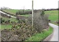 Bends in the road west of Croan Bridge