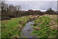 East Devon : Small Stream