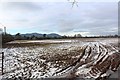 Field in thaw, Hanley Swan