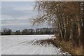 Snow covered field east of Hanley Swan