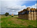 Farmland, Newby Wiske