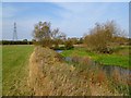 Pasture and the River Thame, Holton