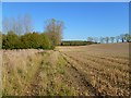 Farmland, Great Milton