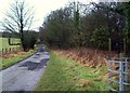 Unmade Road and Woodland Entrance near Strines