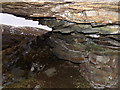 NN2274 : Rock undercut in Killiechonate Forest by ian shiell