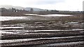 Potato field, Kilgraston