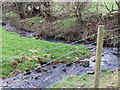 Small stream newly emergent from a culvert beneath the Ballykeel Road