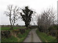 Bend in the Ballykeel Road