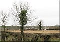 View northwards towards intensive farming units on the Cullion Road